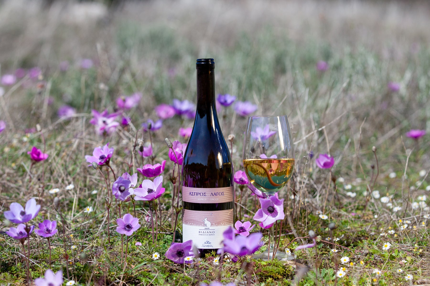 Top 5 Spring Wines of 2023 | Expert Wine List Recommendations