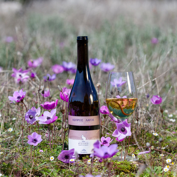Top 5 Spring Wines of 2023 | Expert Wine List Recommendations