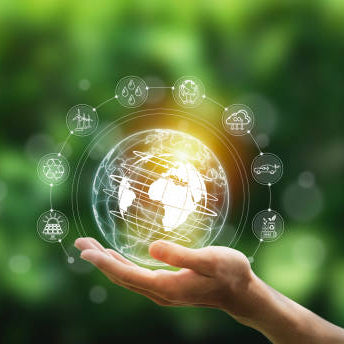Are Our Wine Packaging Materials Eco-Friendly? | Learn More