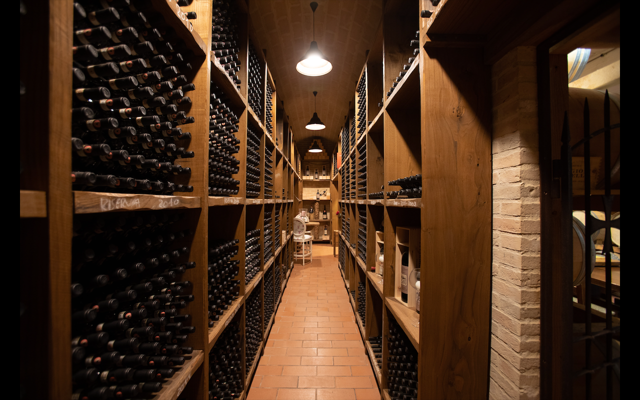 Basic Wine Storage Tips You Need to Know