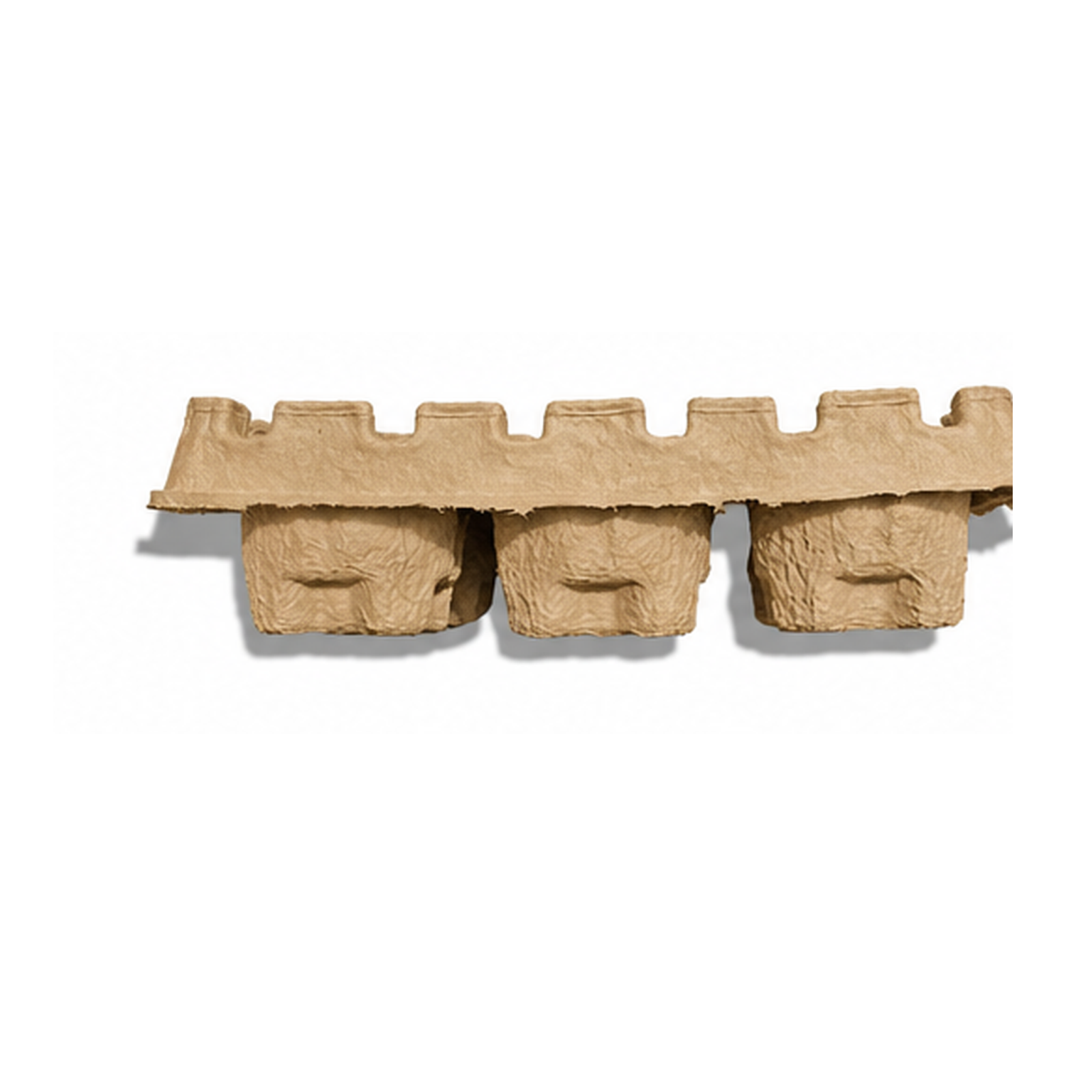 Six (6) Can Beer Shipper Trays - Top & Bottom Tray Set (Trays Only)
