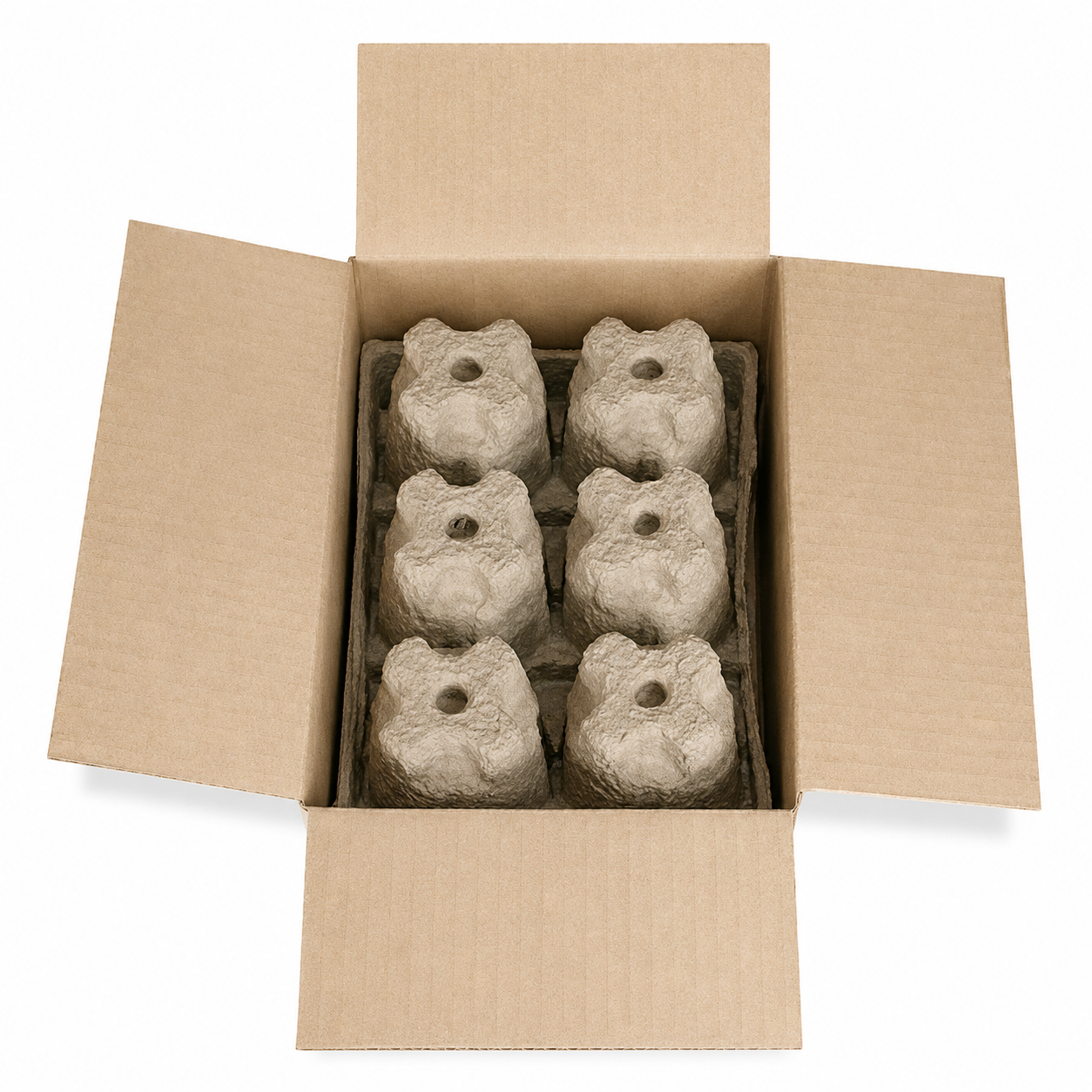 Six (6) Can 16oz Beer Shipper Kit – 2 Pulp Trays & 1 Outer Box