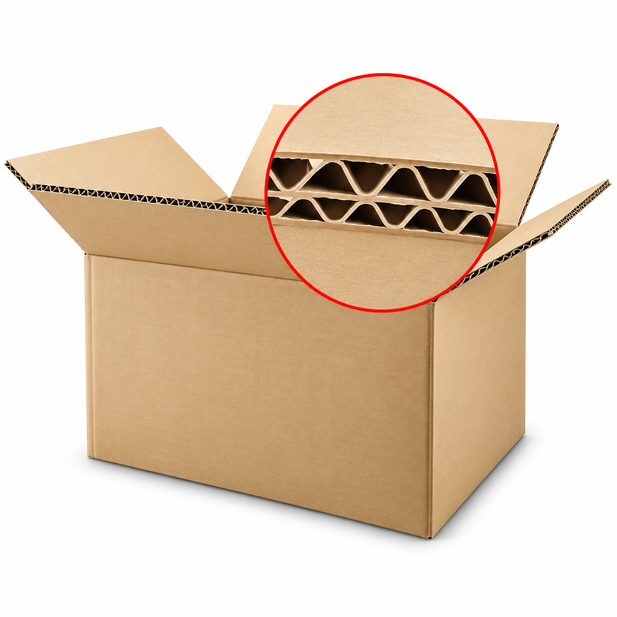 Heavy Duty Six (6) Bottle Outer Box for Pulp Shipper (18 7/8" x 12 1/8" x 9")