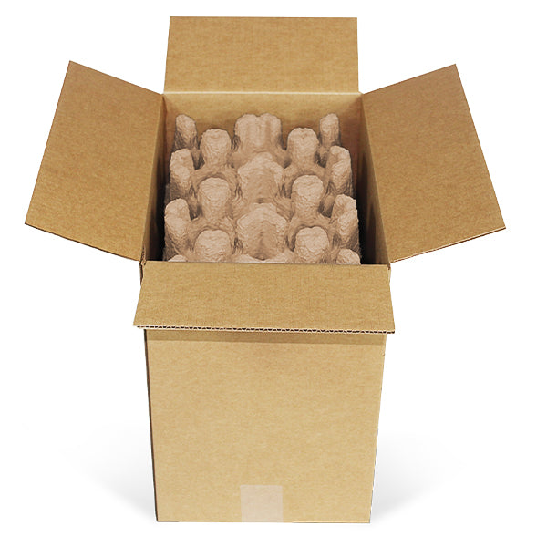 Six (6) Bottle Stand Up Pulp Wine Shipper Kit (Trays & Outer Shipping Box)