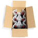 Six (6) Bottle Air Cushion Shipper Kit - 1 inflatable shipper, 1 top pad & 1 outer shipper box (Copy) Molded Pulp Packaging