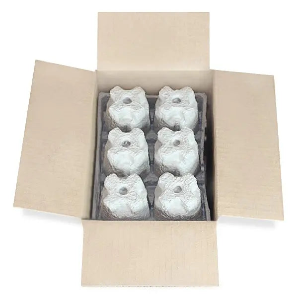 Six (6)  16oz. Can Beer Shipper - Kit - 2 pulp shipping trays & 1 outer shipping box Molded Pulp Packaging